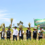 Serap Panen di Banyuwangi, Wujud Konsistensi Program Mitra Tani Perum Bulog