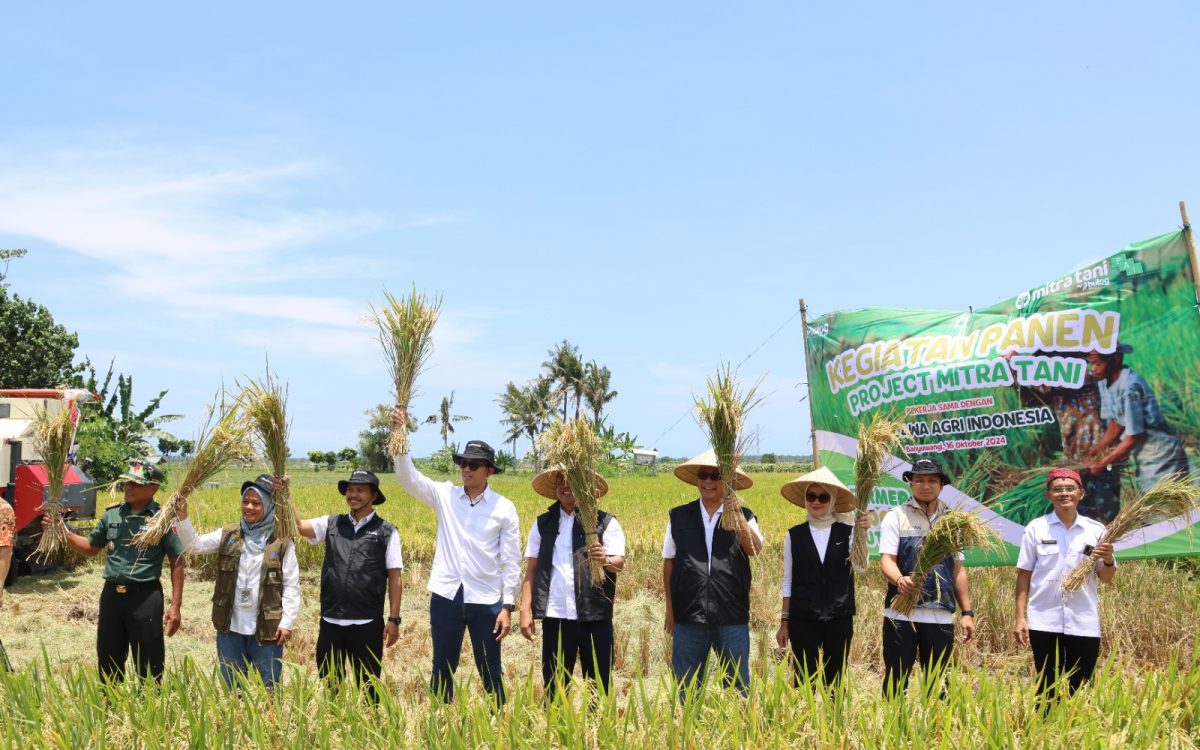 Serap Panen di Banyuwangi, Bentuk Konsistensi Program Mitra Tani Perum BULOG